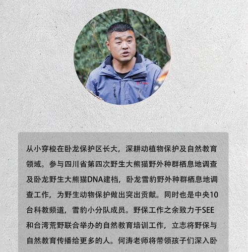 调查熊猫网站分析怎么写？如何撰写有效的网站分析报告？