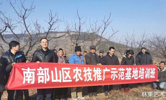 南山如何通过网站推广？有哪些有效策略？