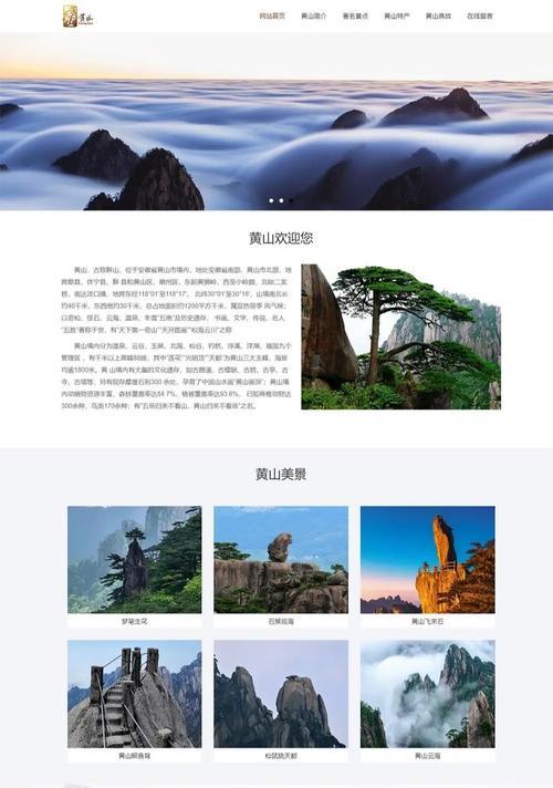 网站类型分析怎么做？如何根据需求选择合适的网站类型？