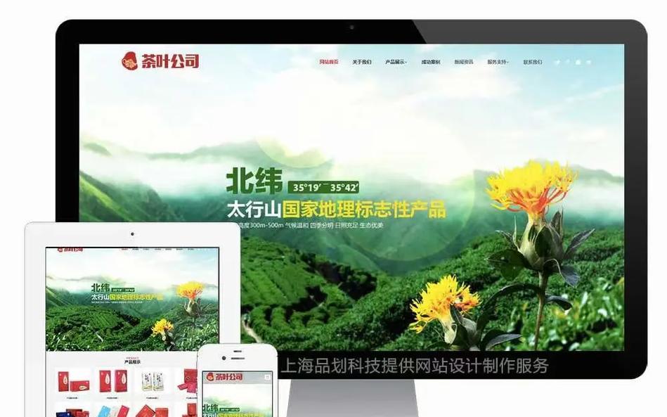 上海网站如何推广效果最好？有哪些有效策略？
