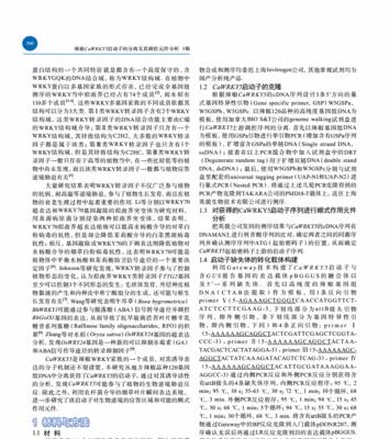 启动子分析网站怎么用？操作步骤和常见问题解答是什么？
