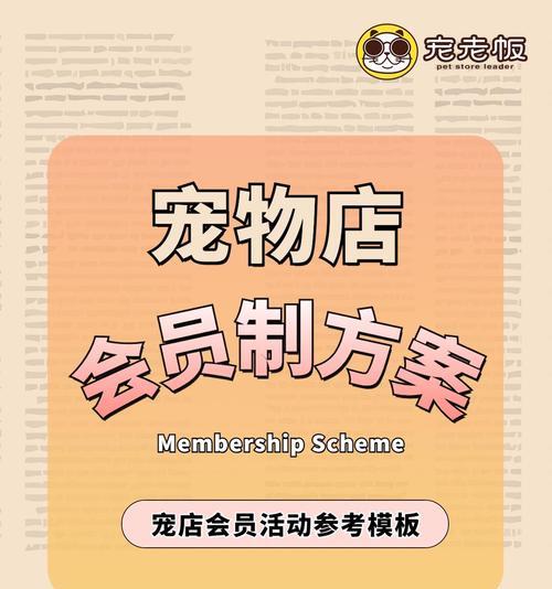 会员营销方案网站怎么写？如何有效吸引并留住会员？
