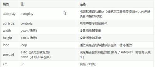 HTML表单属性有哪些？如何使用它们来优化表单功能？