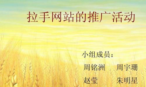 邵阳网站如何推广？有哪些有效的本地推广策略？