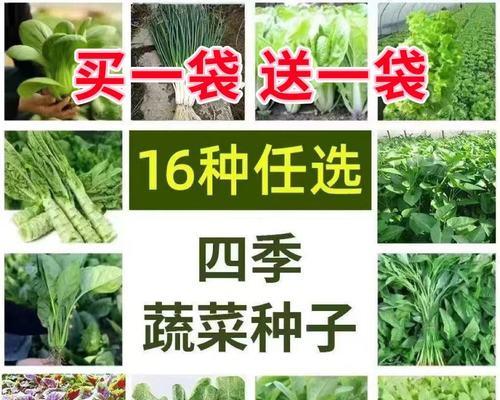 如何推广菠菜网站？有效策略和常见问题解答？