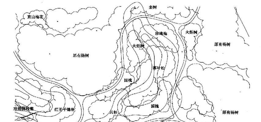 植被分析图网站怎么做？需要哪些步骤和工具？