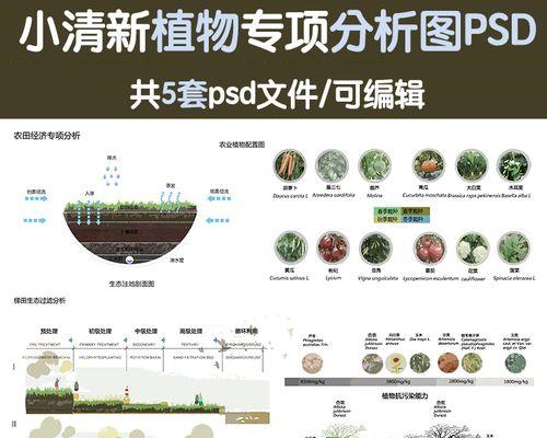 植被分析图网站怎么做？需要哪些步骤和工具？
