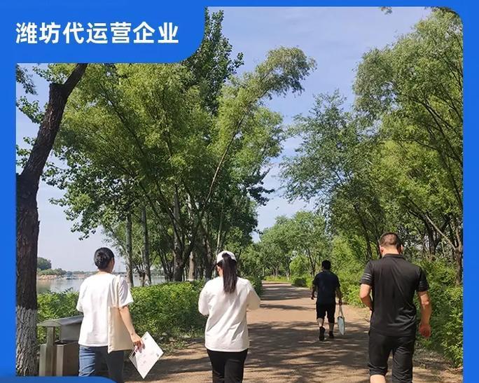 临沂网站如何推广服务？有哪些有效方法？