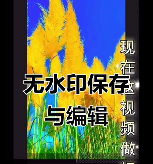 快手剪辑完歌曲后如何进行进一步剪辑？