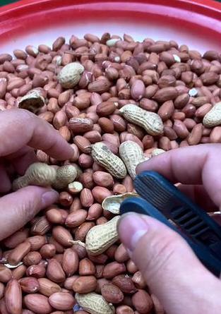 抖音怎么拨花生的视频剪辑？视频编辑技巧有哪些？
