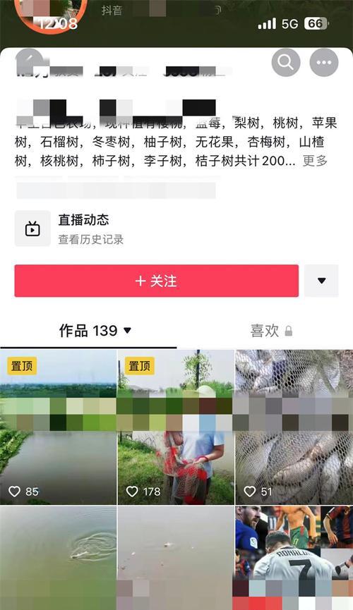 信阳短视频怎么优化？优化短视频的策略和技巧有哪些？