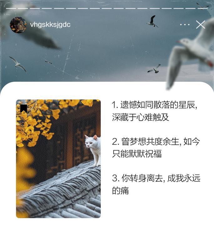 快手文案剪辑技巧？如何快速编辑适合朋友圈的内容？