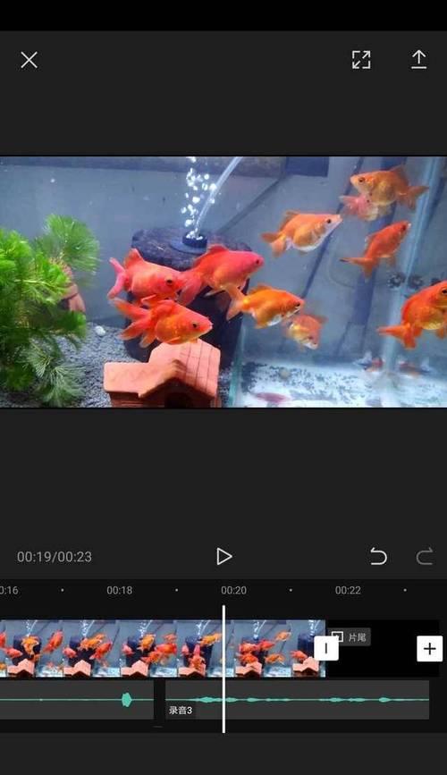 抖音伸缩摘果剪辑怎么做？视频制作技巧有哪些？