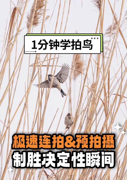 连拍音乐抖音怎么剪辑出来？视频编辑的步骤和技巧是什么？