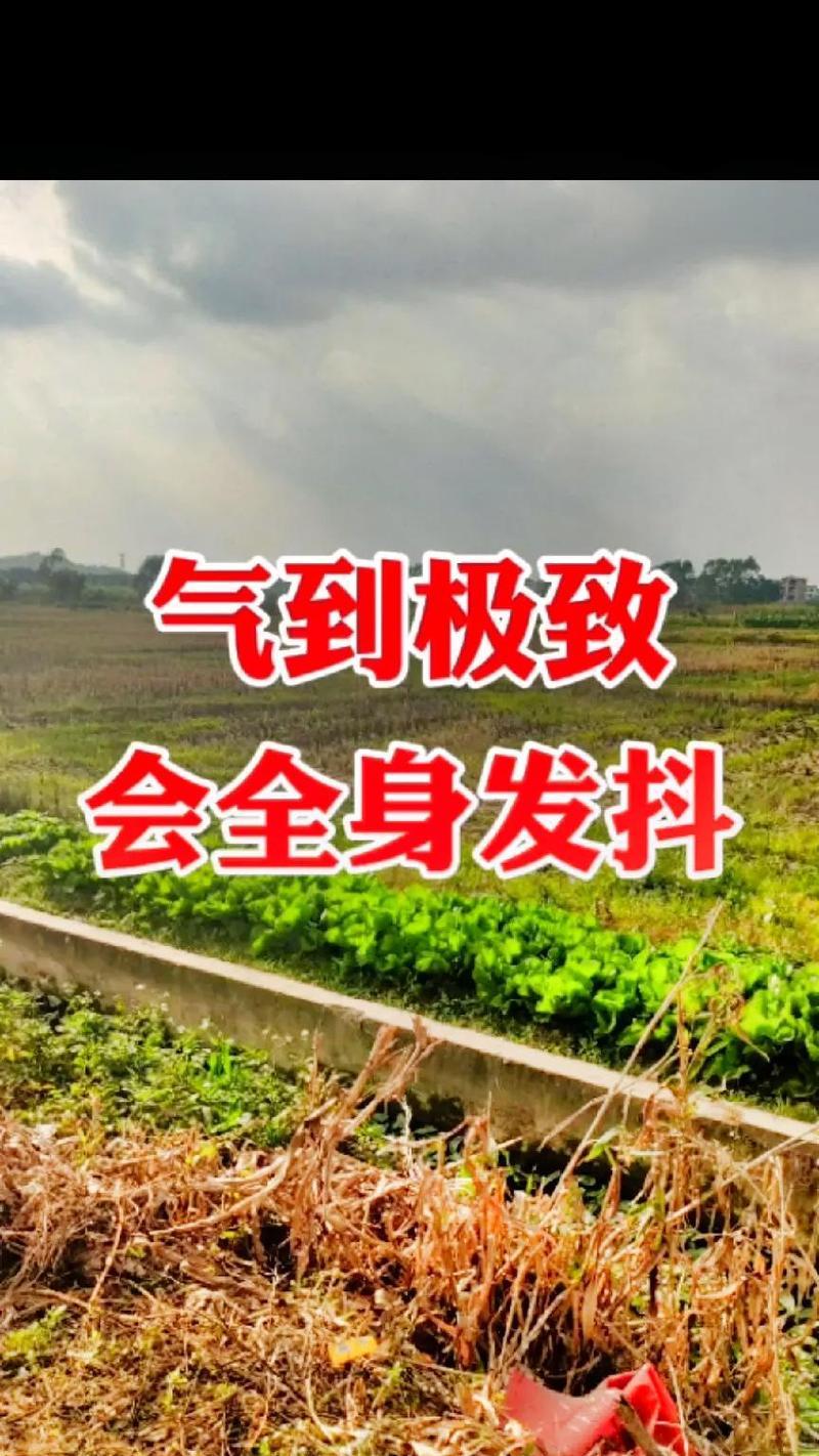 抖音鬼畜文案剪辑技巧有哪些？如何快速制作出有趣的鬼畜视频？