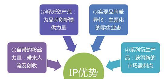网站店铺ip分析怎么写？如何通过ip分析提升店铺流量？