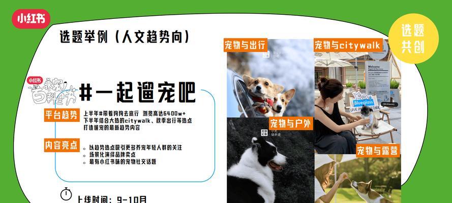如何做一个宠物网站推广？有哪些有效的推广策略？