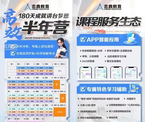 如何进行教师招聘网站的深入分析？分析过程中应注意哪些常见问题？