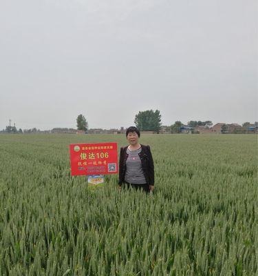 禹州公司网站如何做推广？有哪些有效的推广策略？