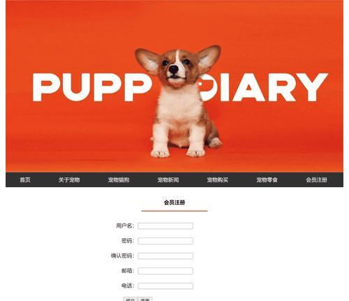 HTML中支持哪些文件格式插入？如何实现文件的嵌入？