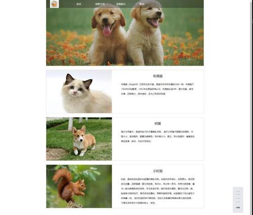 宠物网站行业分析怎么写？最新趋势与挑战是什么？