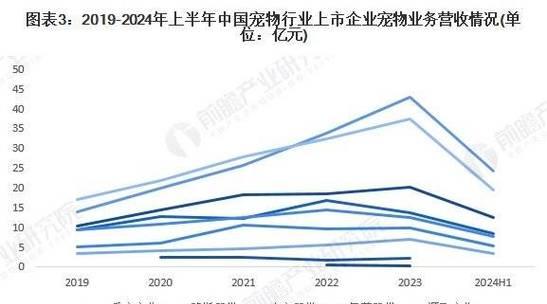 宠物网站行业分析怎么写？最新趋势与挑战是什么？