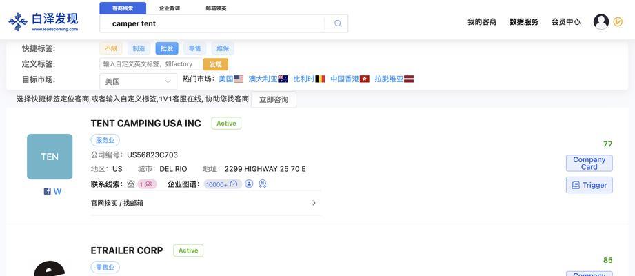 外贸搜关键词网站怎么搜？如何提高搜索效率和准确性？