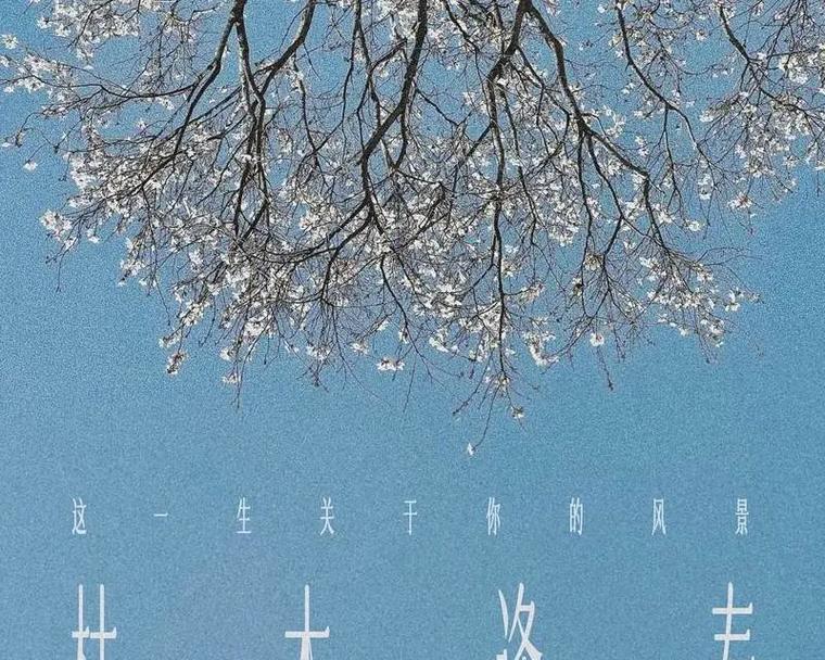 抖音剪辑枯木逢春怎么做？视频编辑技巧有哪些？