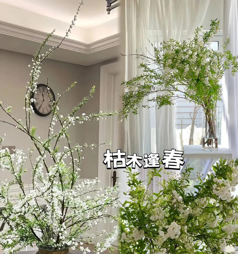 抖音剪辑枯木逢春怎么做？视频编辑技巧有哪些？