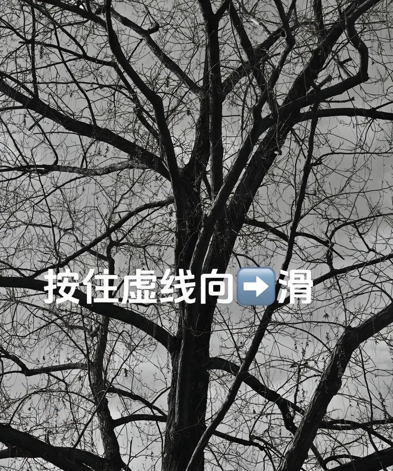抖音剪辑枯木逢春怎么做？视频编辑技巧有哪些？