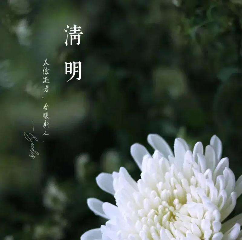 清明节抖音视频怎么剪辑？制作过程中的常见问题有哪些？