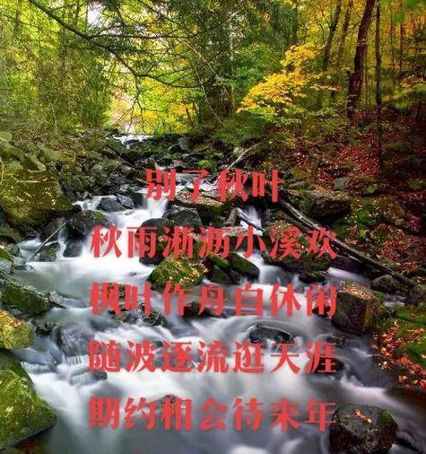 秋雨剪辑版抖音视频制作方法是什么？常见问题如何解决？