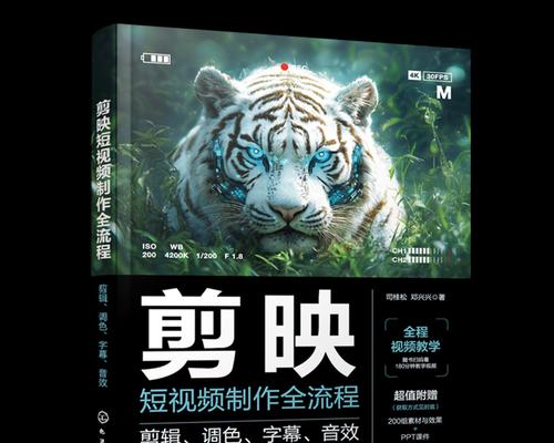 抖音歌曲剪辑带字幕怎么制作