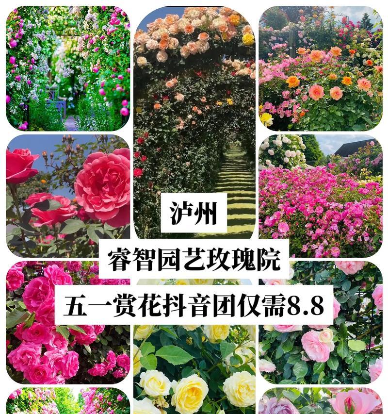 赏花的抖音剪辑怎么做