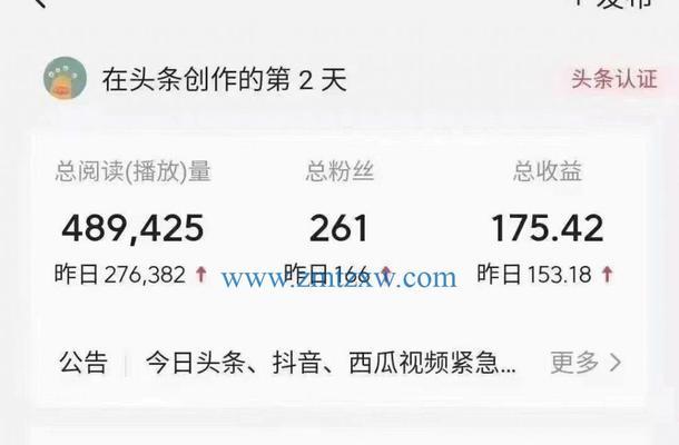 抖音黑白剪辑怎么赚钱的