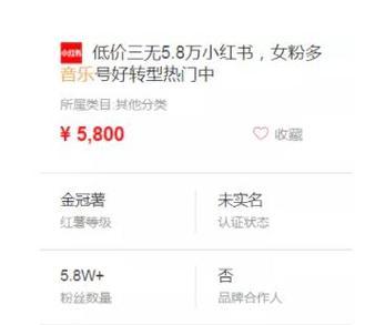 电影剪辑小红书怎么赚钱