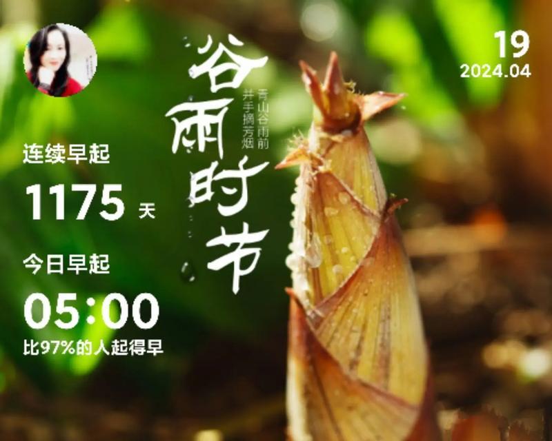 芳菲剪辑个人抖音怎么赚钱：深度解析与实战指南