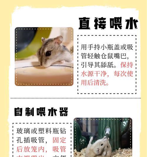 使用方法是什么？