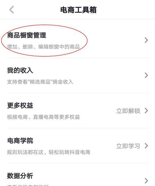 如何申请seo保护工具？申请过程中需要注意哪些问题？