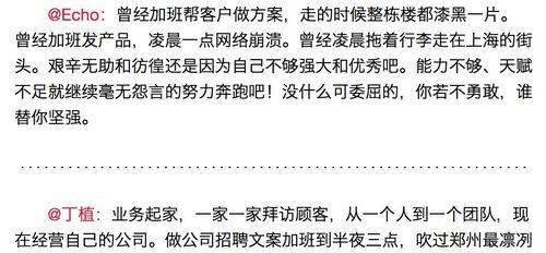 浙江seo查询有哪些工具？如何有效使用它们？