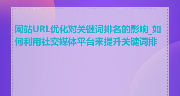如何优化URL提升SEO效果（URL对SEO的重要性及优化技巧详解）