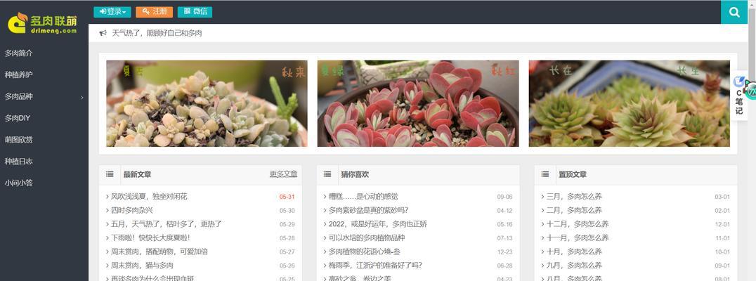 博客站SEO优化实战指南（如何让你的博客站在搜索引擎中脱颖而出？）