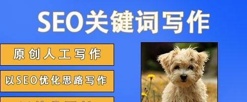 SEO软文写作指南（让你的网站排名更靠前）